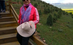 第一炉香在线完整版免费观看